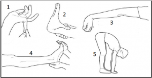 The Most Important Ability for Gymnasts