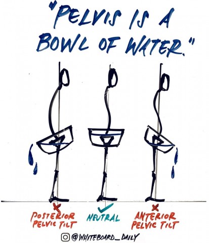 Anterior Pelvic Tilt and Hip Mobility