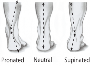 Knee Solution Seminar Recap