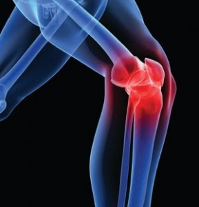 Knee Solution Seminar Thursday November 8