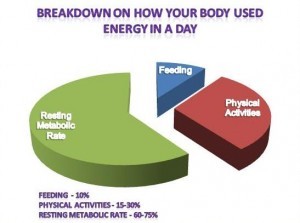 Your Metabolism Doesn't Matter