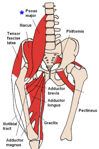 Tight Hips - Real Client Solution