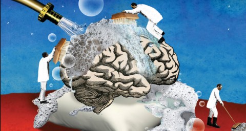 Why Your Brain Needs Sleep