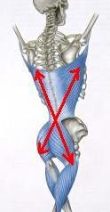 Top 10 Benefits of Unilateral Training
