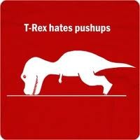 Fitness Coaching with Analogies