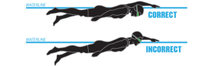 head_position.png